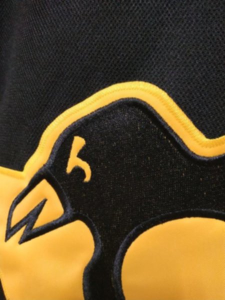 свитер хоккейный Pittsburgh Penguins  Winter Classic  2019  №71 MALKIN