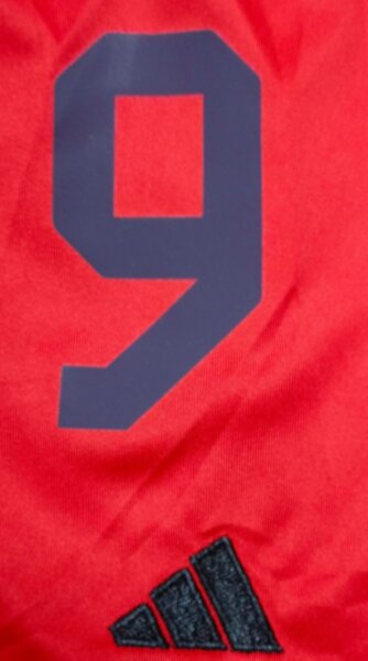 форма детская Bayern Munchen №9 KANE  2024-2025 adidas,домашняя,полиэстер 100%
