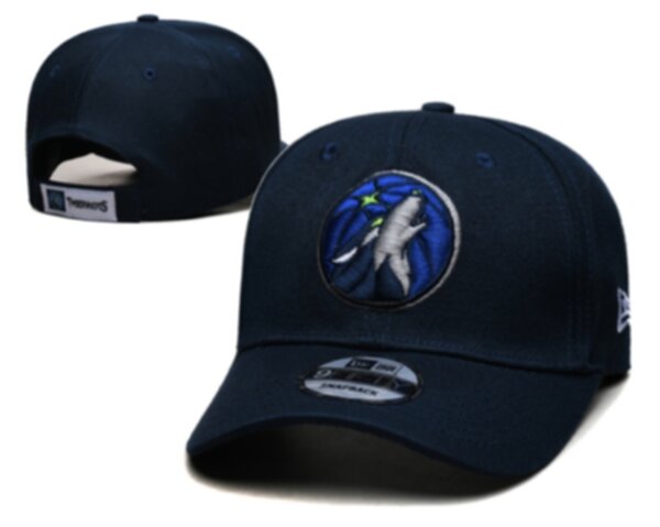 бейсболка  Minnesota Timberwolves