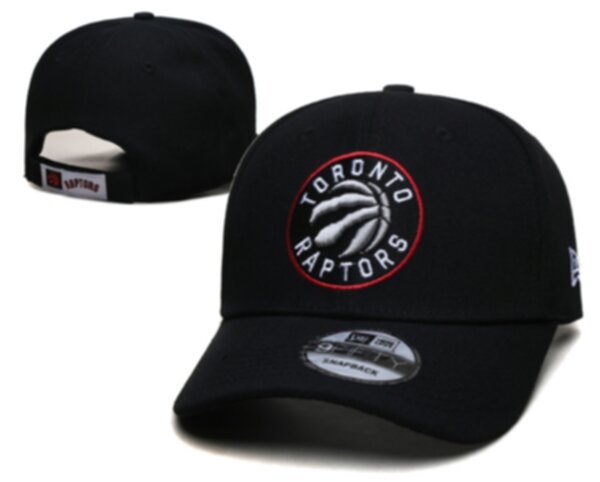 бейсболка Toronto Raptors   