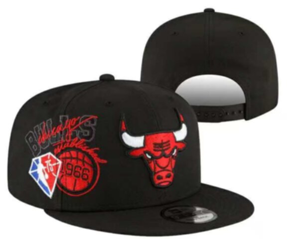 снэпбэк Chicago Bulls