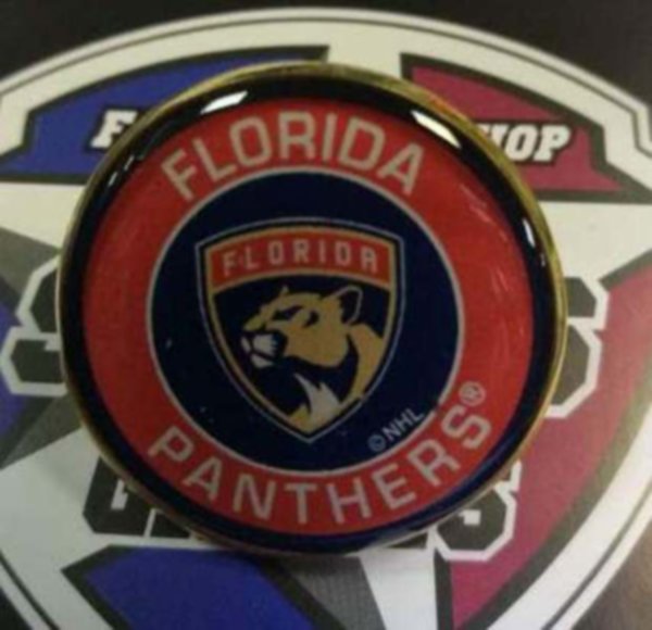 значок Florida Panthers  №0824  2,5 см 