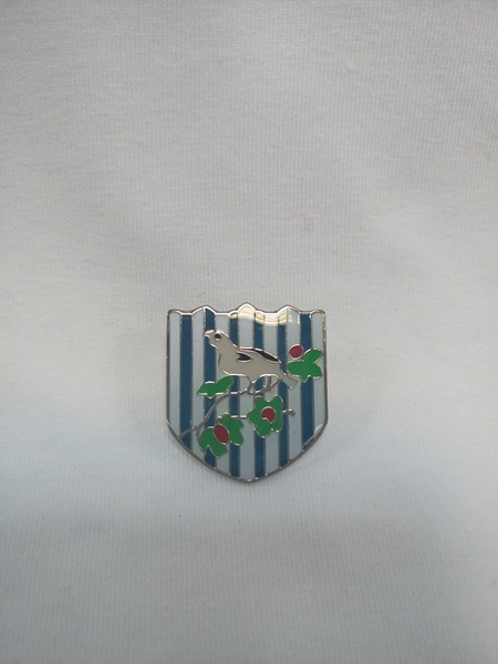 значок West Bromvich Albion  №0131