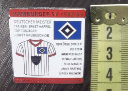 значок Hamburg(№0512)