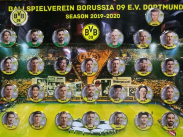 набор значков Borussia Dortmund 2019-2020  30 см х 21 см 